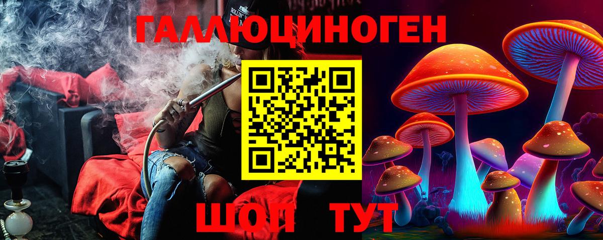 Псилоцибиновые грибы мицелий Малгобек