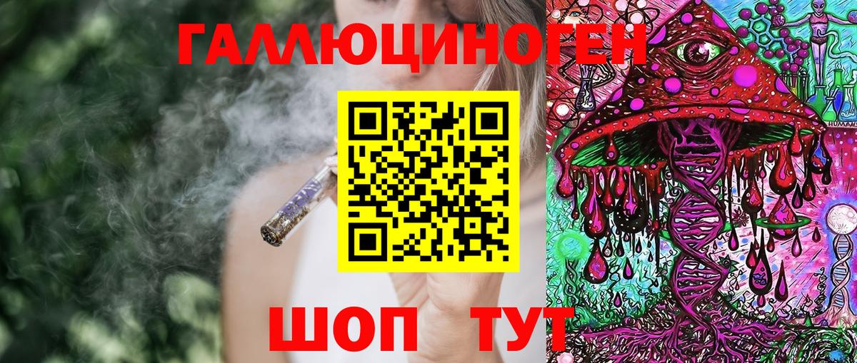 Галлюциногенные грибы Psilocybine cubensis  Вход с VPN  купить наркотик  Малгобек 